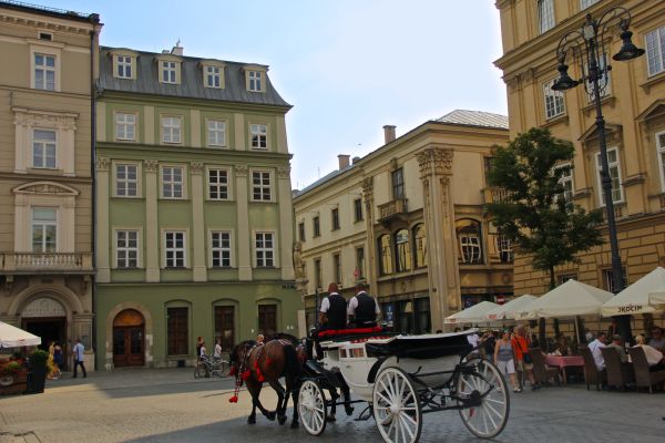 krakow main square horse