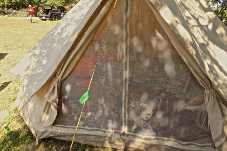 sachas tent